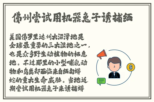嘟嘟嘟影院影视